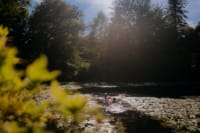 Wild Swimming At Swinton Estate near Masham