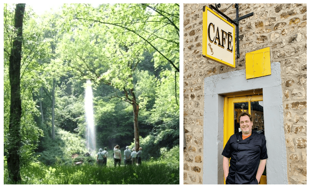 Colin recommends Hackfall Woods, near Masham