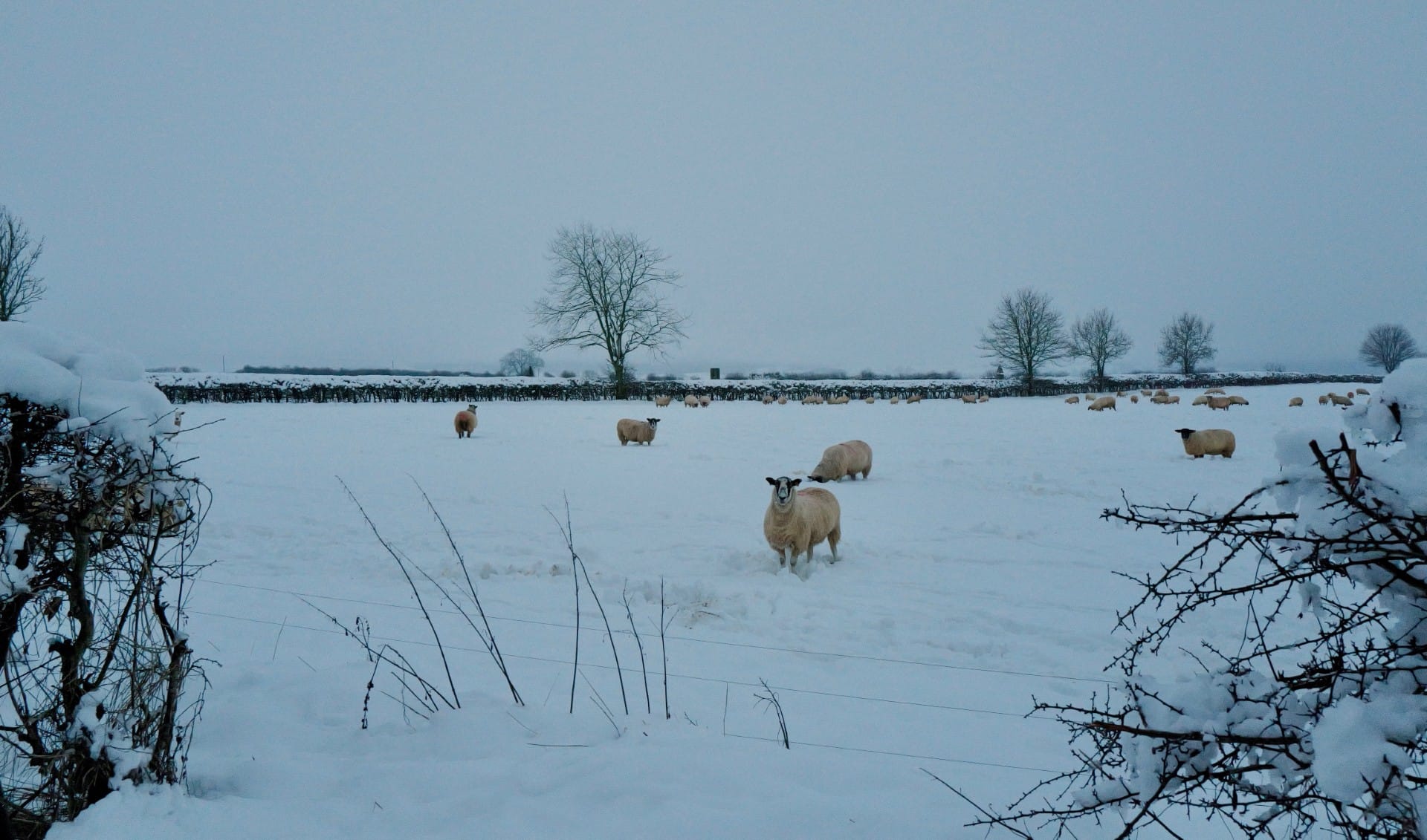 Masham Winter Fuel Payments