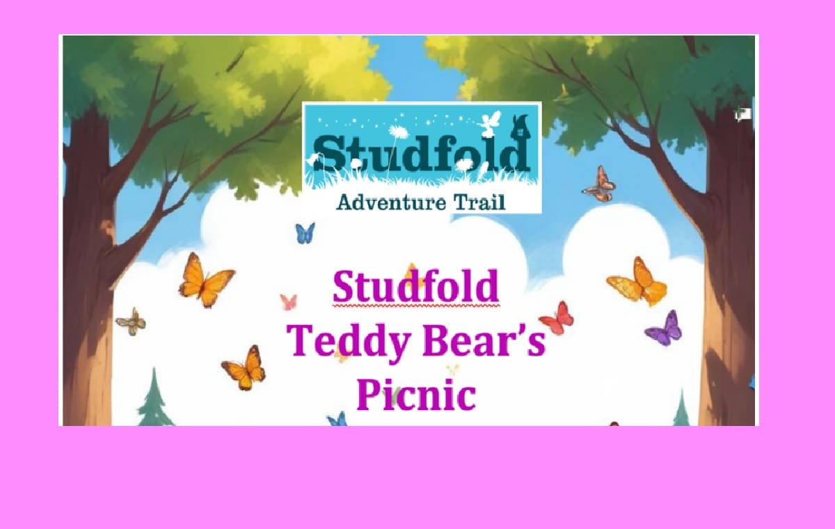 Studfold's Teddy Bears' Picnic