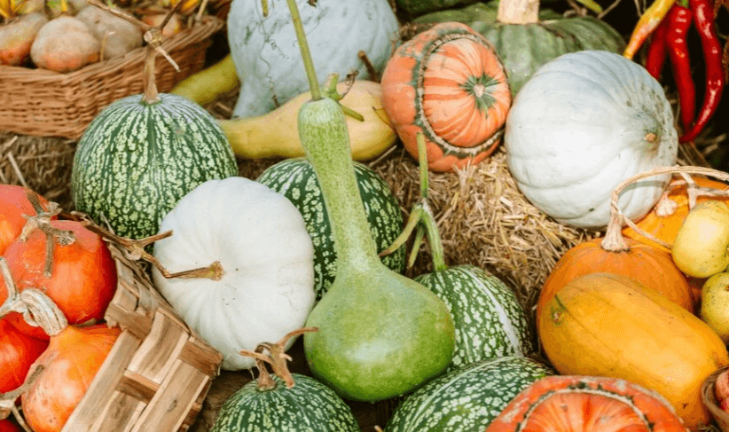 Halloween events in mashamshire this october